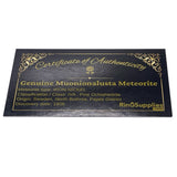 Meteorite Dust and Large shavings ring inlay material