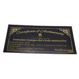 Meteorite Dust and Large shavings ring inlay material