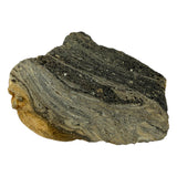 Impactite