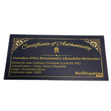 NWA 869 Brecciated L Chondrite Meteorite inlay material