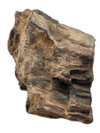 Petrified Wood