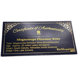 Brontotherium/ Megacerops dinosaur bone inlay material