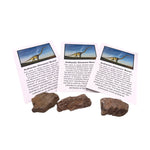 Dinosaur bone inlay material