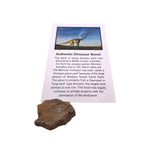 Dinosaur bone inlay material