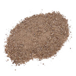 Crushed Plesiosaurus dinosaur bone