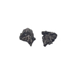 Meteorite fragments Campo Del Cielo