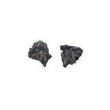 Meteorite fragments Campo Del Cielo
