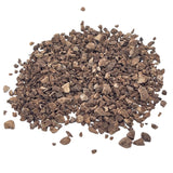 Pachycephalosaurus "Pachy Dome" dinosaur bone