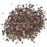 Velociraptor "Raptor" dinosaur bone