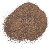 Velociraptor "Raptor" dinosaur bone